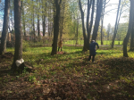 Участие во Всероссийском субботнике